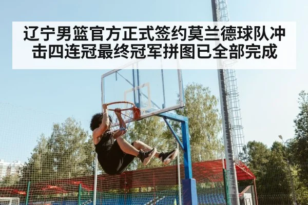 辽宁男篮官方正式签约莫兰德球队冲击四连冠最终冠军拼图已全部完成